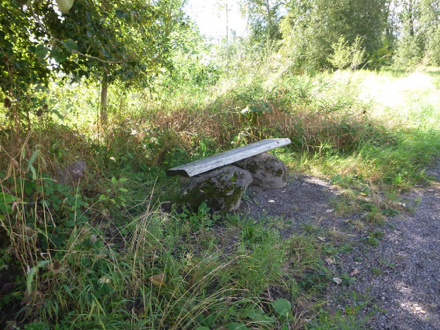 Bench on the seasonal wetland trail – bench seat is not level